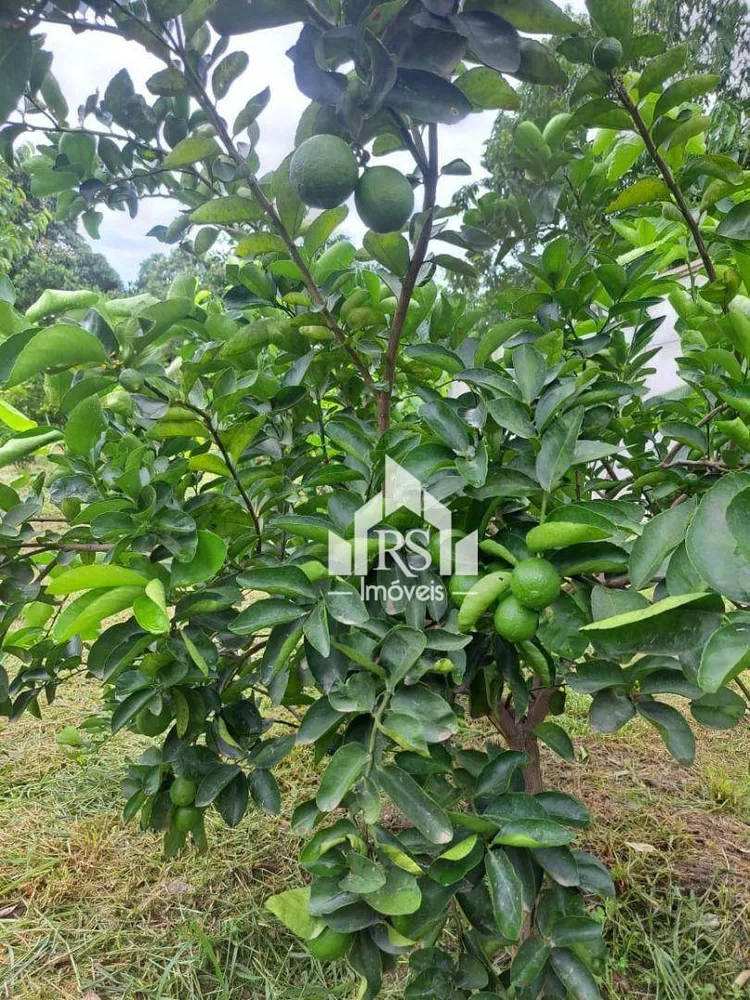 Terreno, 15 m² - Foto 12