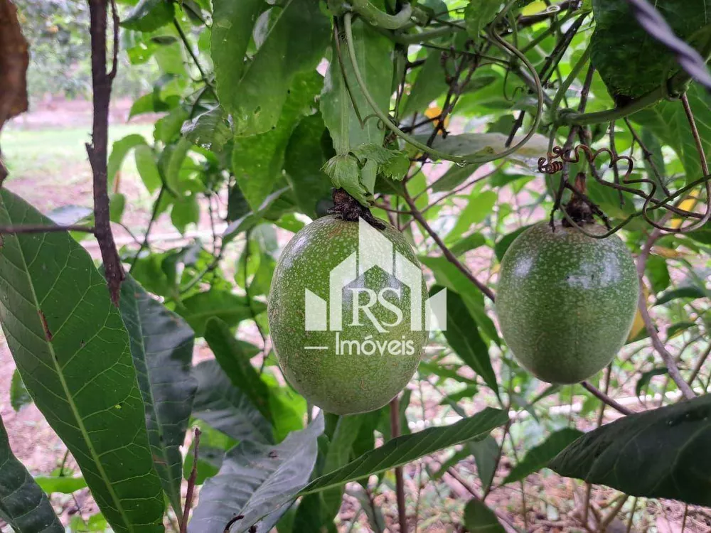 Terreno, 15 m² - Foto 3