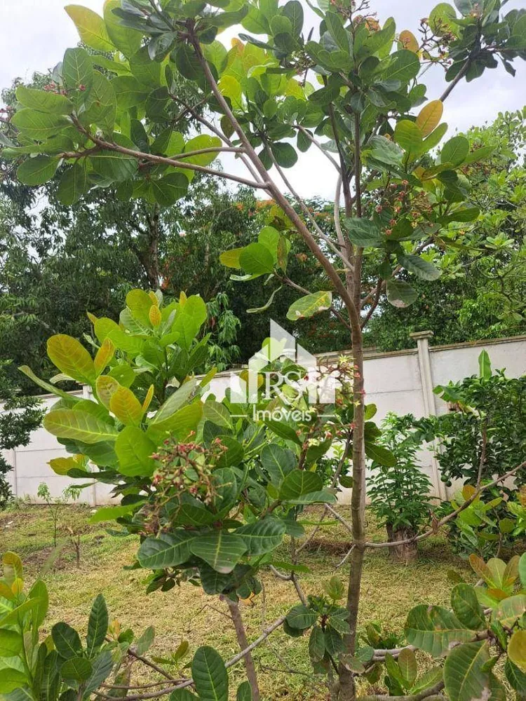 Terreno, 15 m² - Foto 13