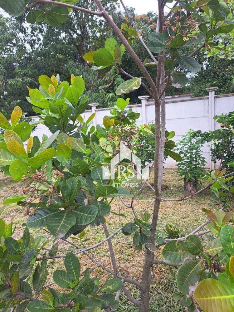 Terreno, 15 m² - Foto 9