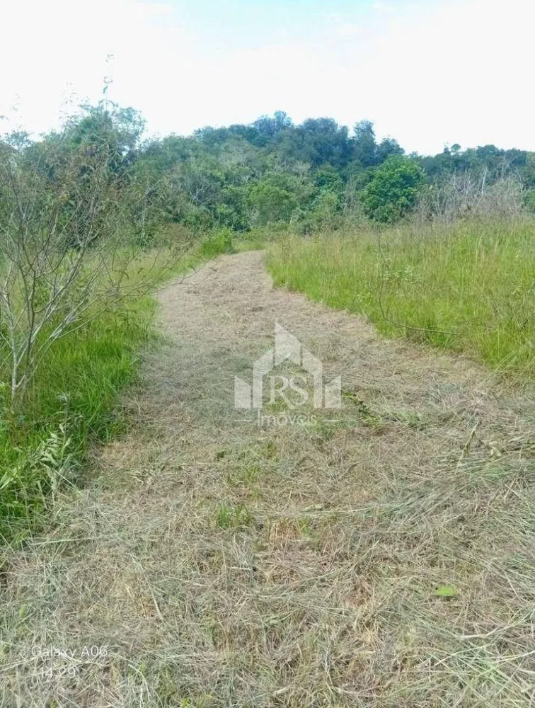 Sítio, 2 quartos, 5 hectares - Foto 25