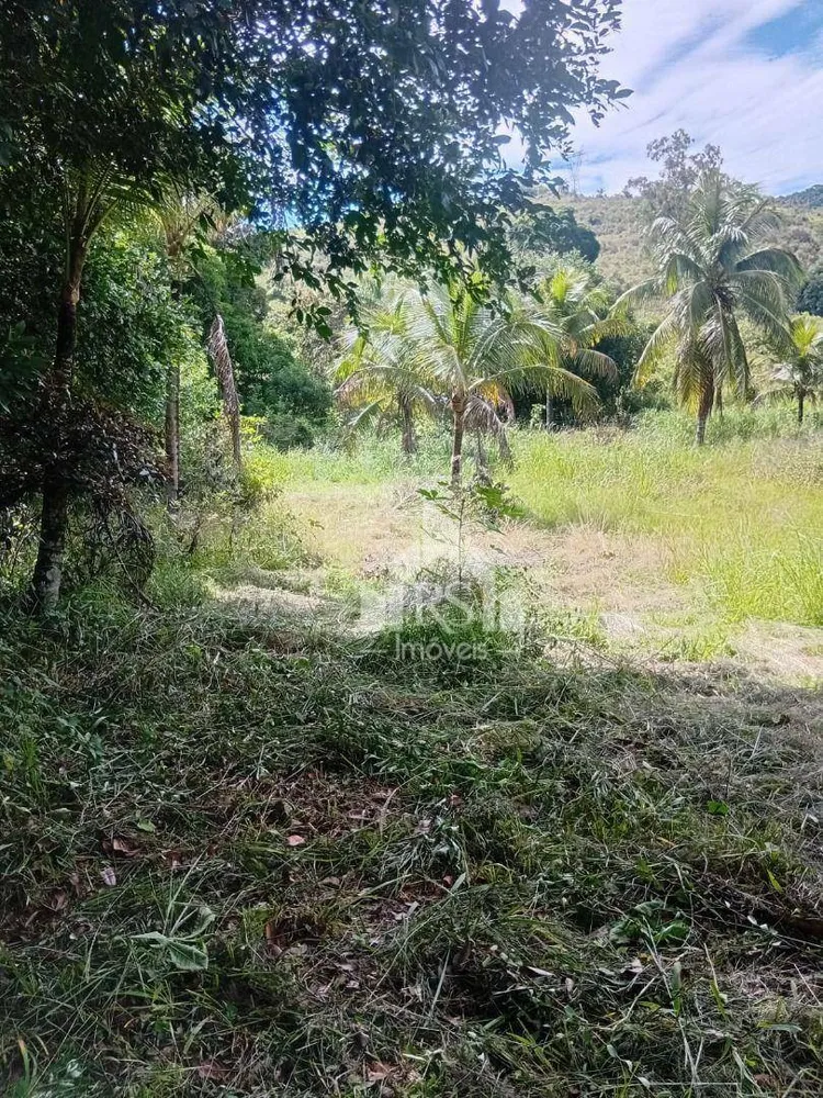Sítio, 2 quartos, 5 hectares - Foto 11