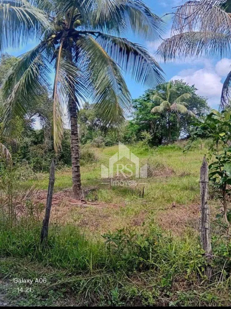Sítio, 2 quartos, 5 hectares - Foto 30