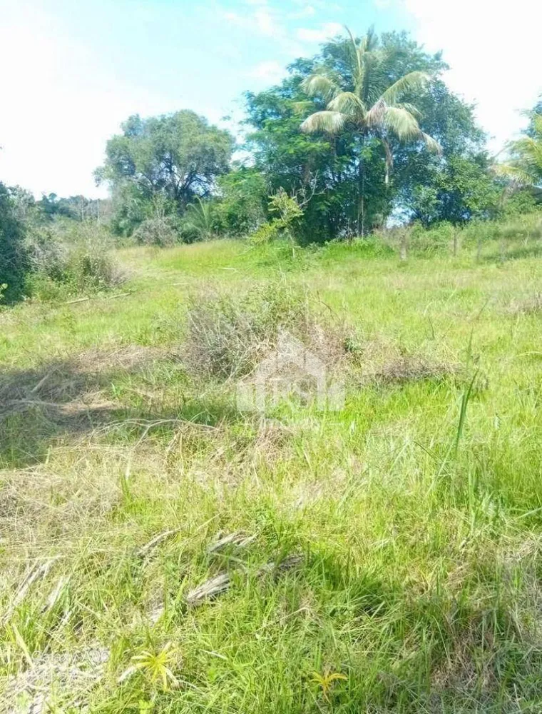 Sítio, 2 quartos, 5 hectares - Foto 28