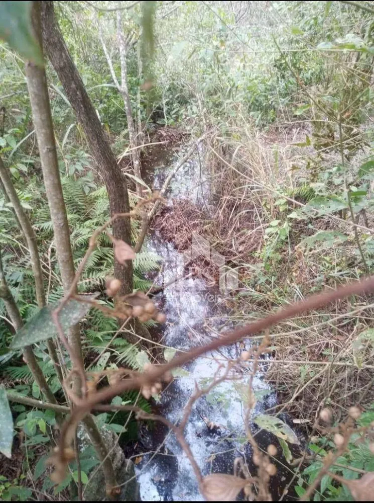 Sítio, 2 quartos, 5 hectares - Foto 23