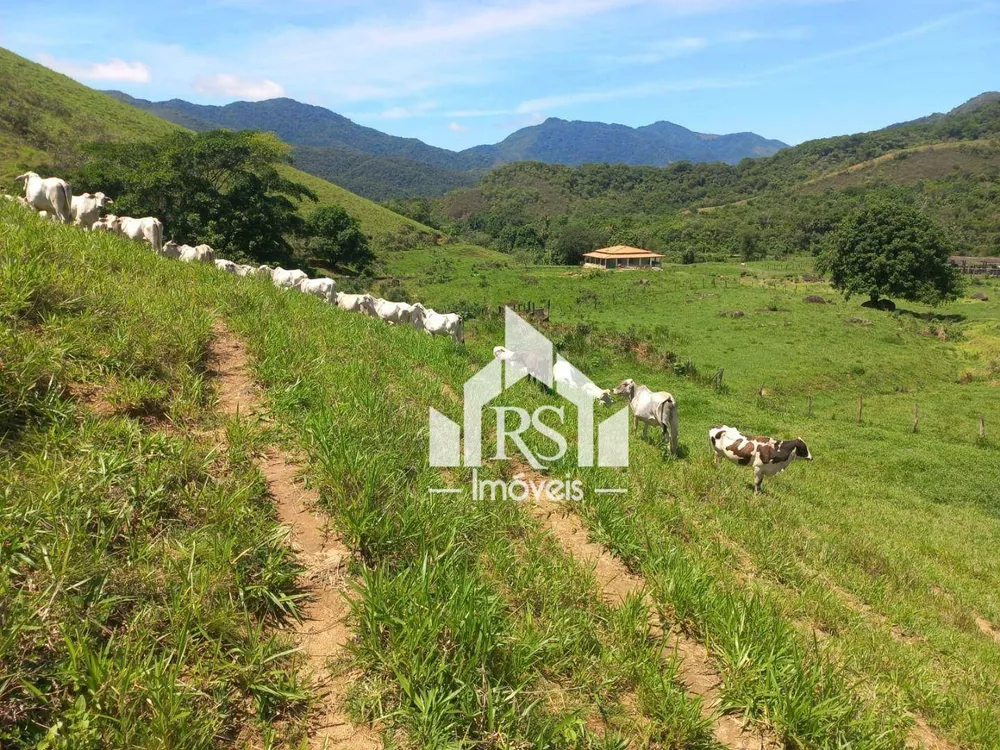 Fazenda, 256 hectares - Foto 3