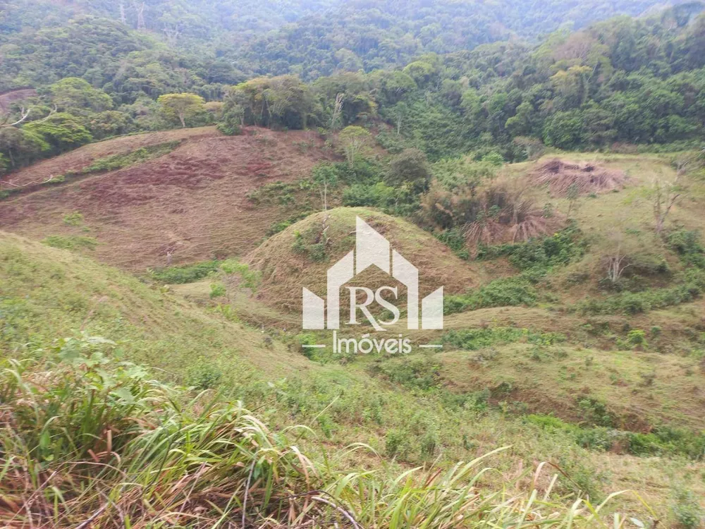 Fazenda, 256 hectares - Foto 4