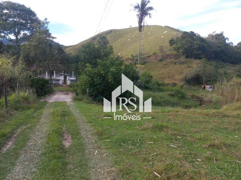 Fazenda, 256 hectares - Foto 10