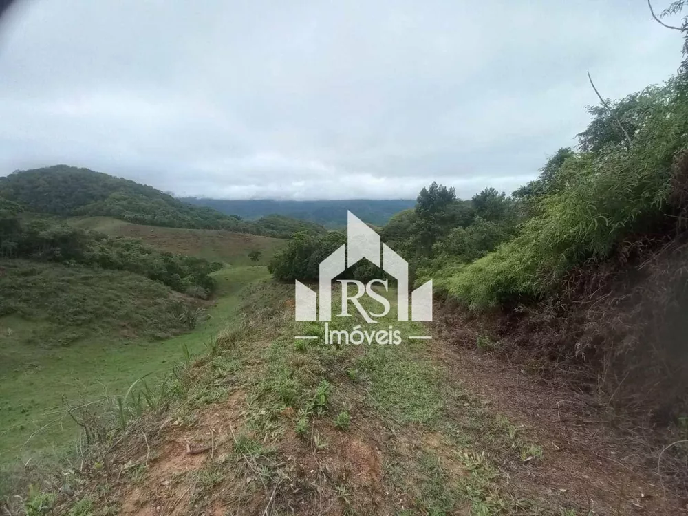 Fazenda, 256 hectares - Foto 5