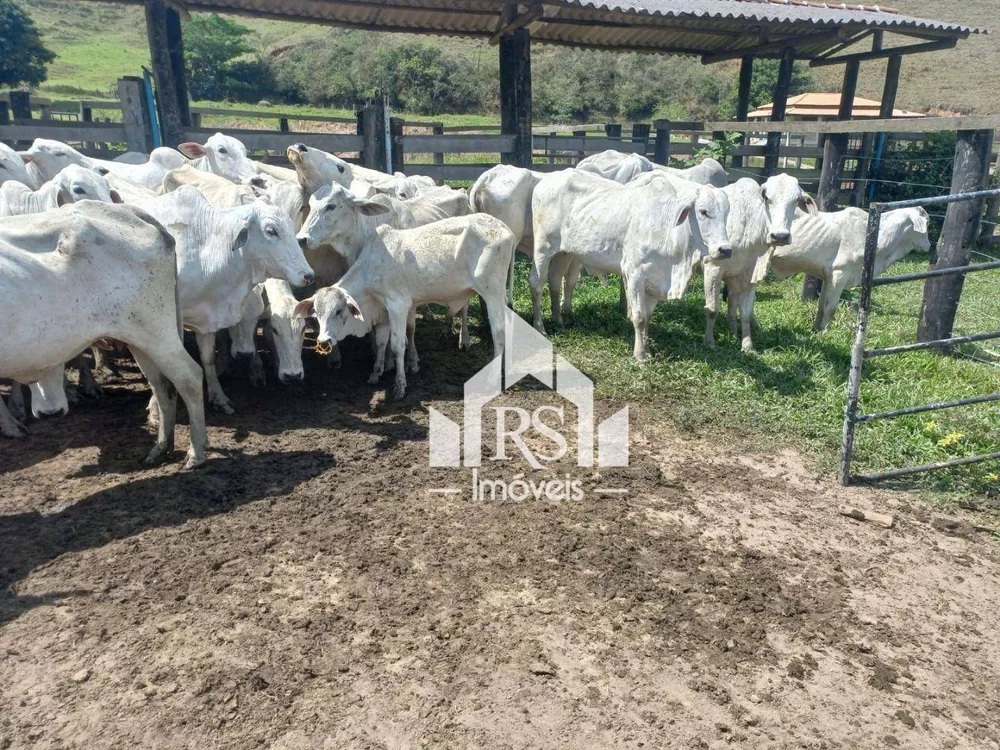 Fazenda, 256 hectares - Foto 6