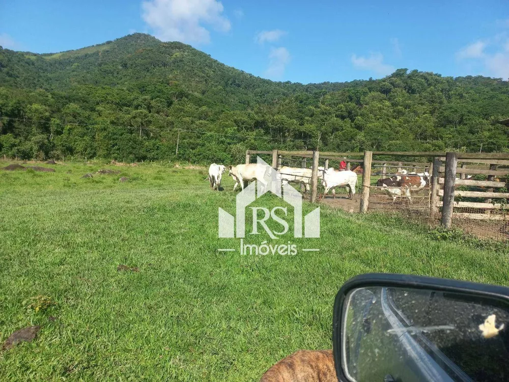 Fazenda, 256 hectares - Foto 2