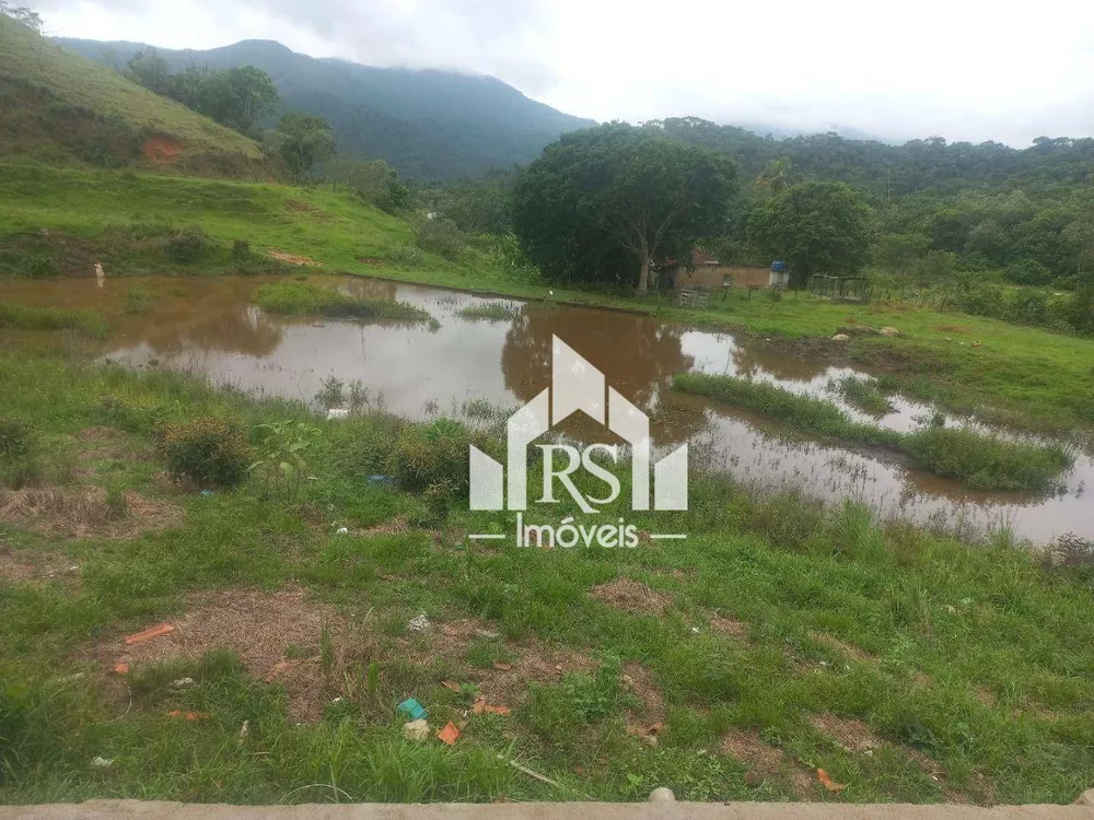 Fazenda, 256 hectares - Foto 11