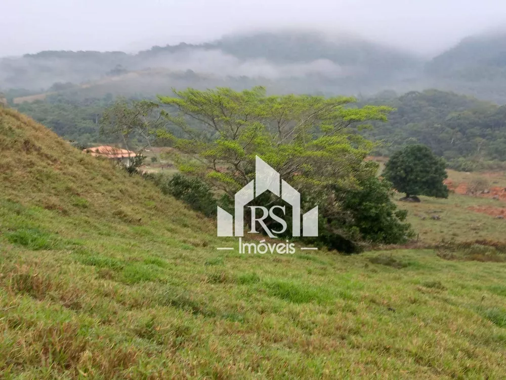 Fazenda, 256 hectares - Foto 8