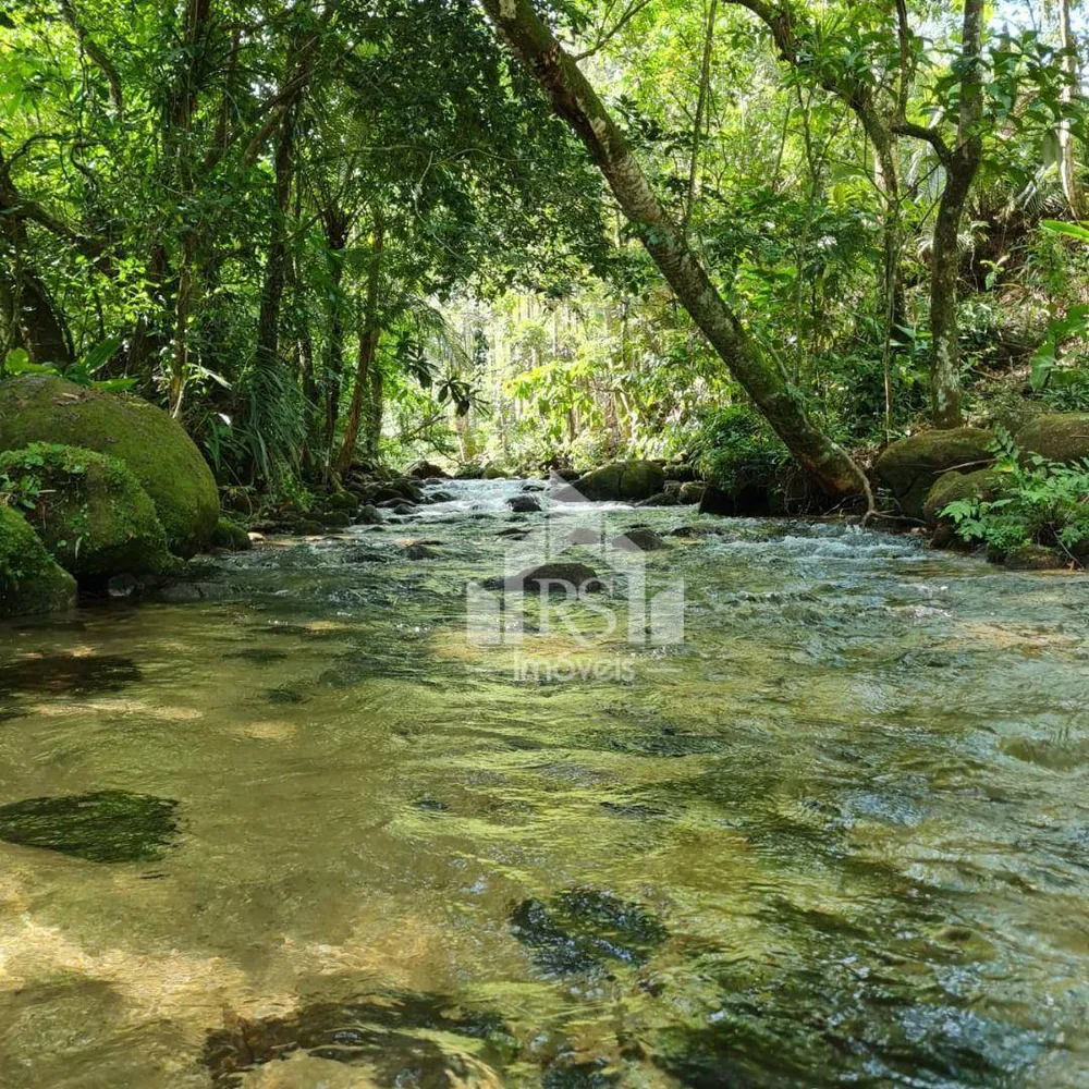 Chácara, 4 quartos, 5000 m² - Foto 3