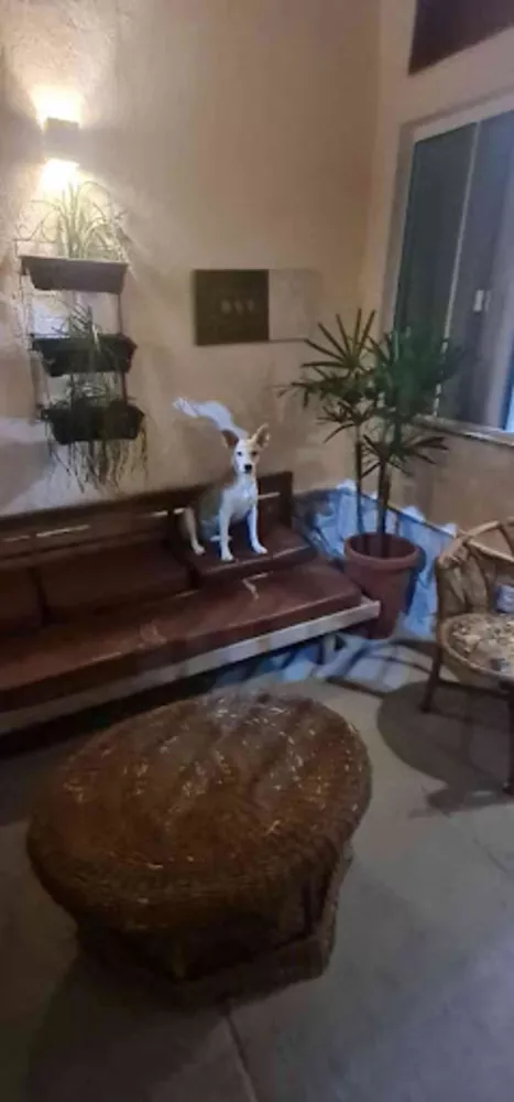 Casa de Condomínio, 2 quartos - Foto 4