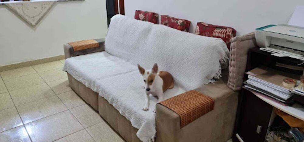 Casa de Condomínio, 2 quartos - Foto 8