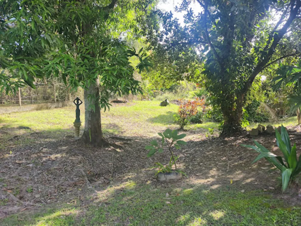 Sítio, 3 quartos, 6700 m² - Foto 17