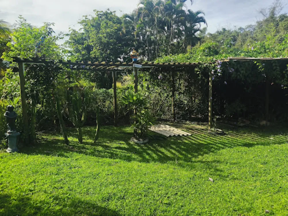Sítio, 3 quartos, 6700 m² - Foto 9
