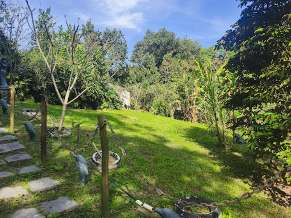 Sítio, 3 quartos, 6700 m² - Foto 13