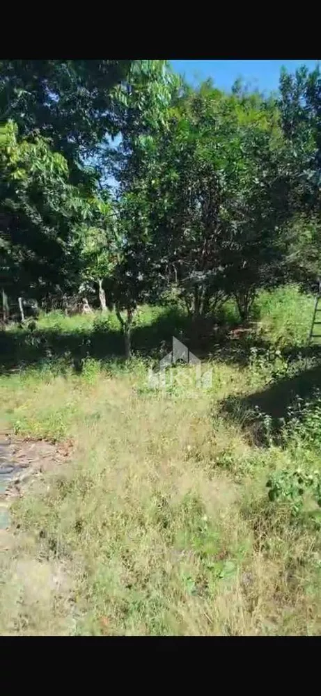 Casa, 3 quartos, 70 m² - Foto 8