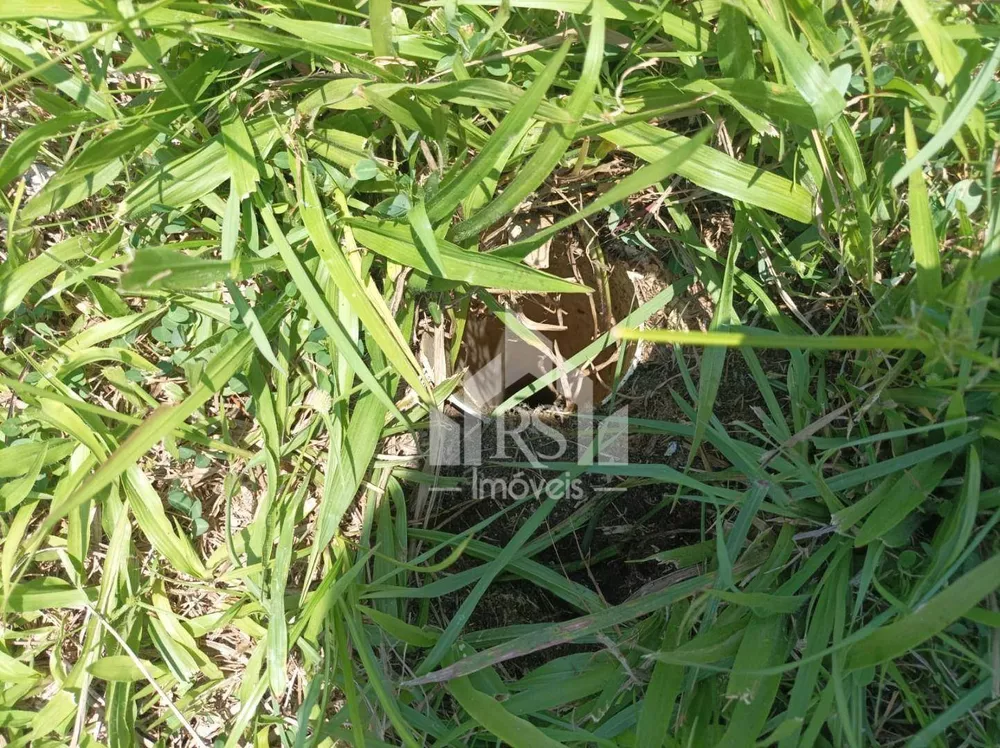 Loteamento e Condomínio, 390 m² - Foto 4