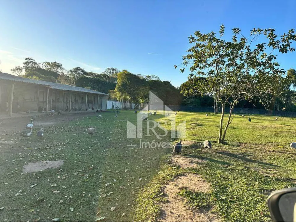 Sítio, 3 quartos, 2 hectares - Foto 14