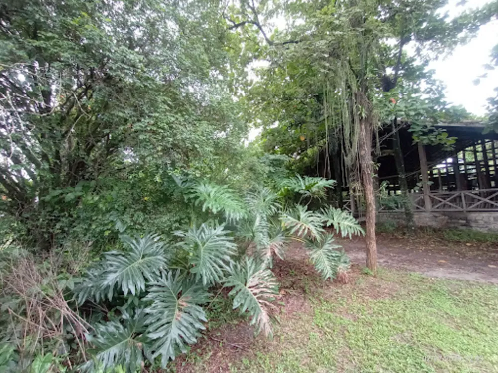 Terreno, 5000 m² - Foto 13