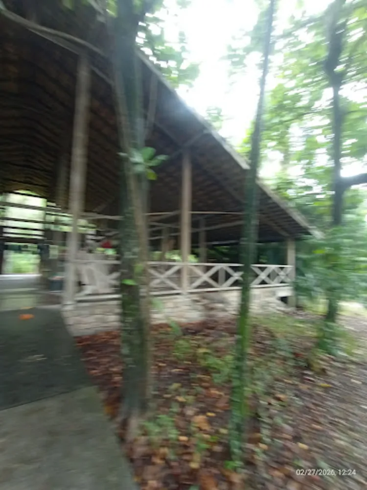 Terreno, 5000 m² - Foto 4