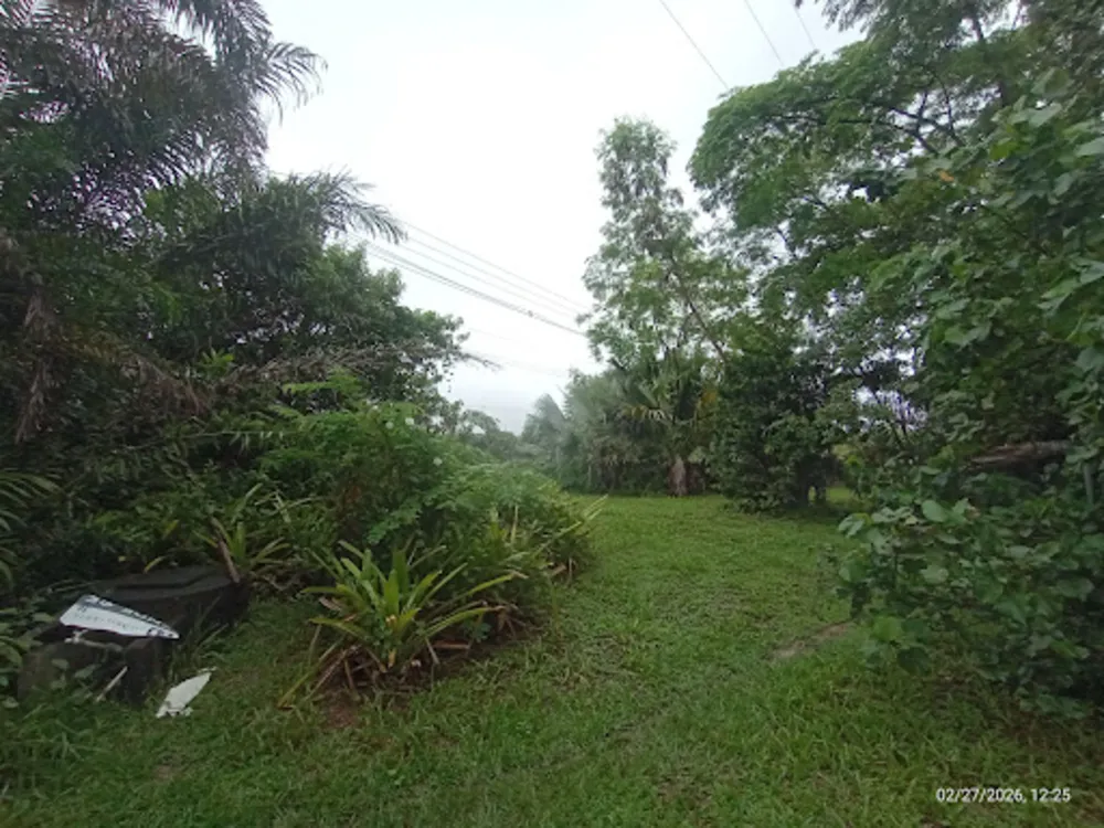 Terreno, 5000 m² - Foto 8