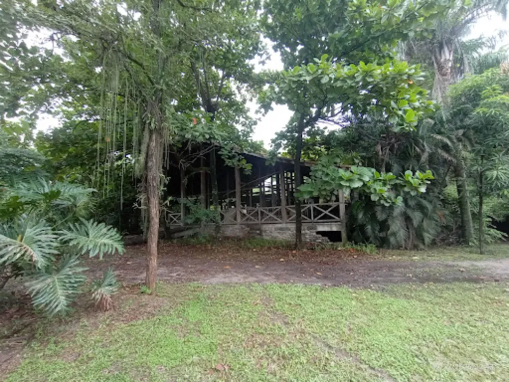 Terreno, 5000 m² - Foto 2