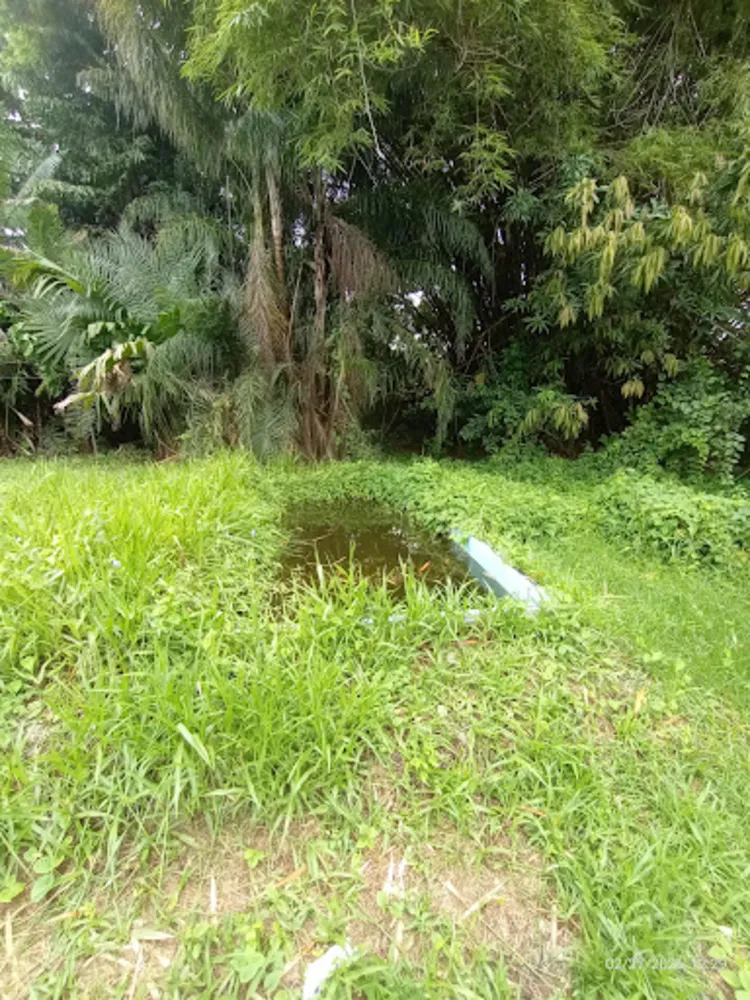 Terreno, 5000 m² - Foto 3