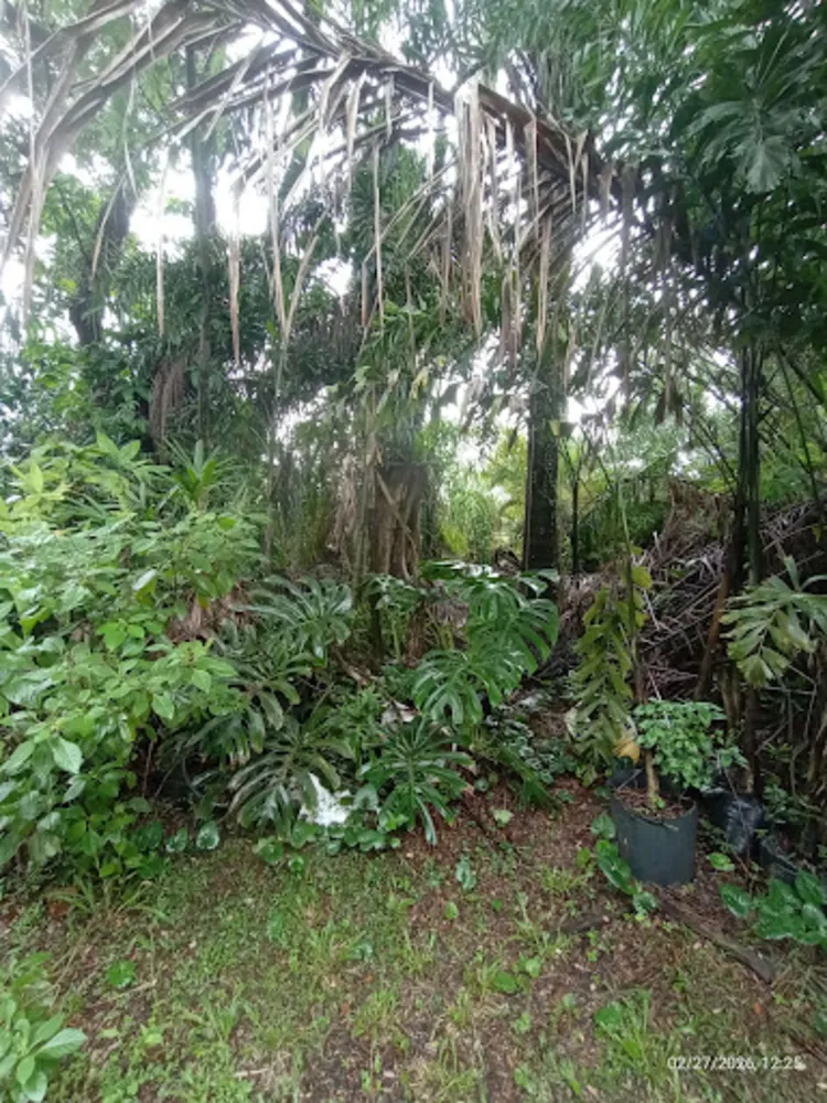 Terreno, 5000 m² - Foto 11