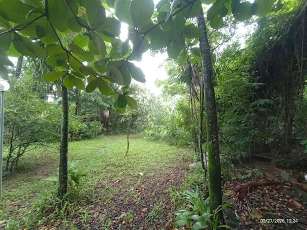 Terreno, 5000 m² - Foto 5