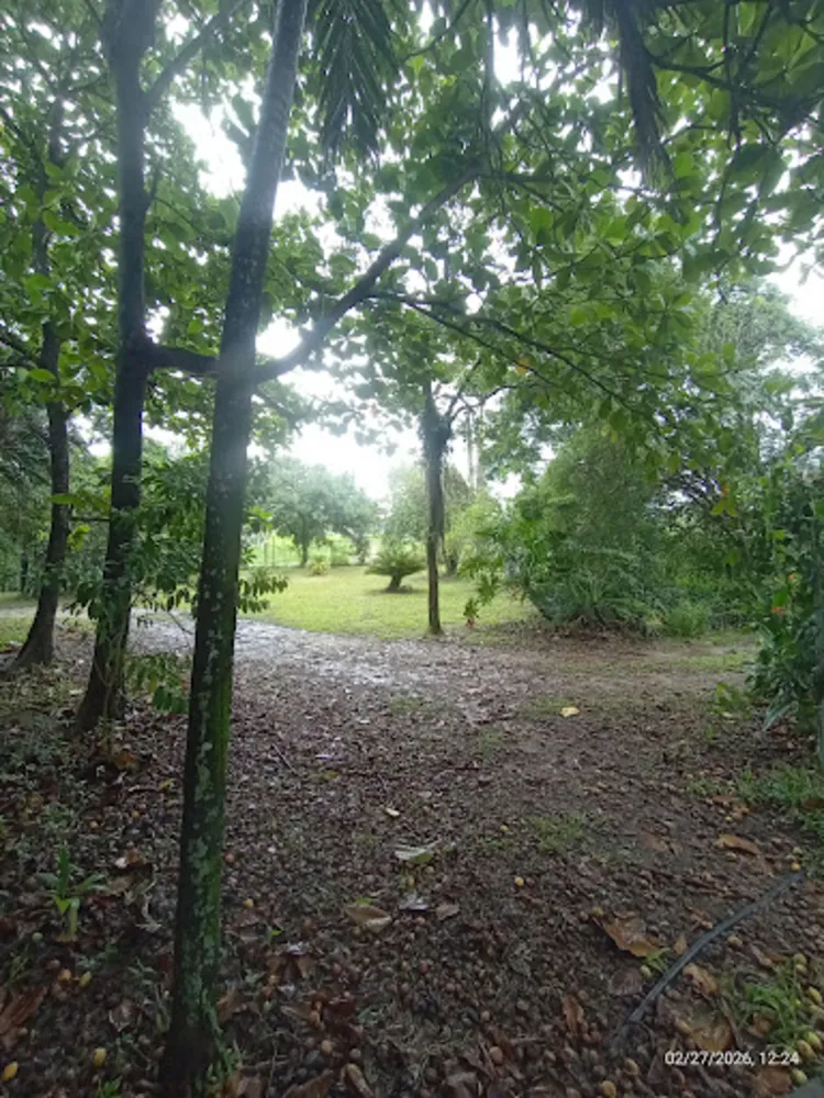 Terreno, 5000 m² - Foto 6