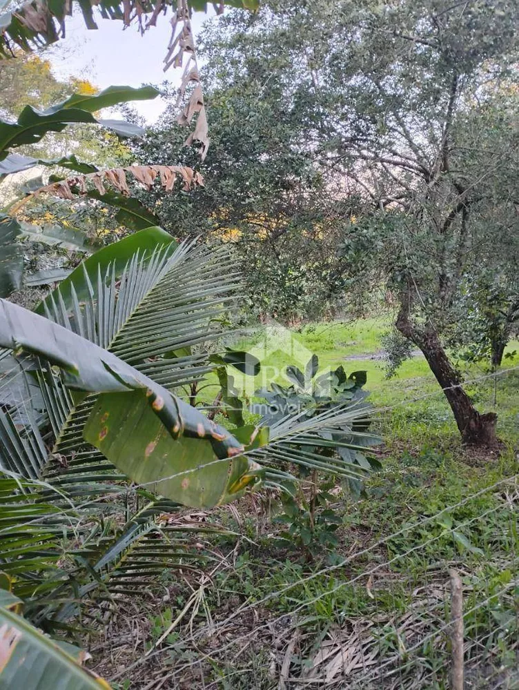 Sítio, 5 quartos, 100 hectares - Foto 12
