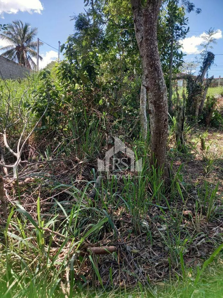Terreno, 360 m² - Foto 5