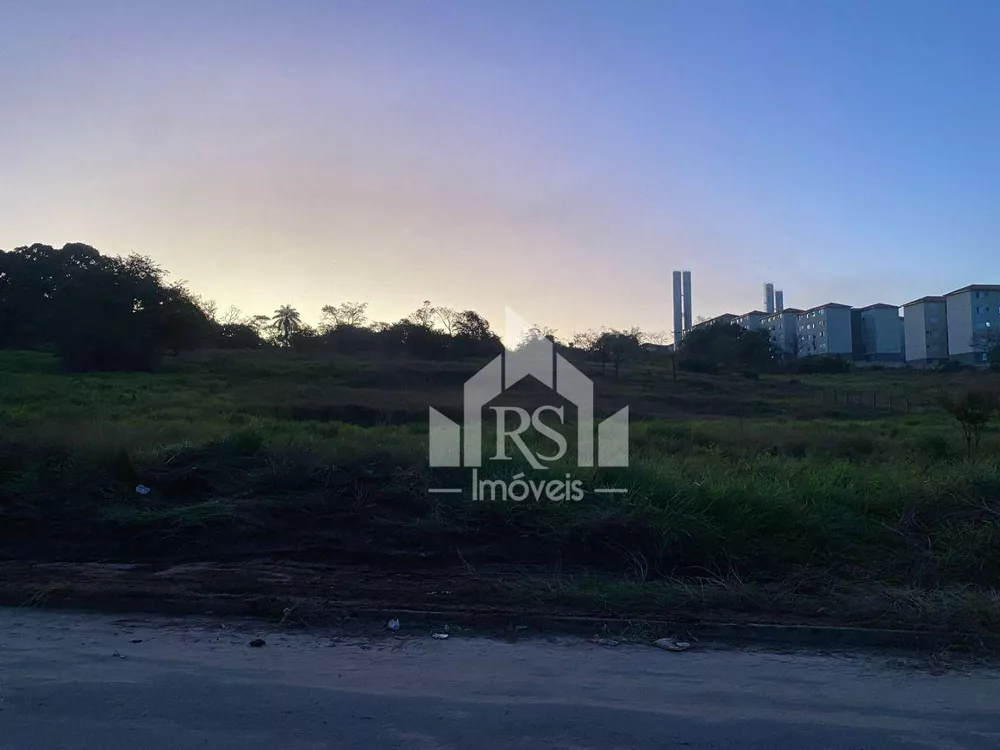 Terreno, 4 hectares - Foto 4