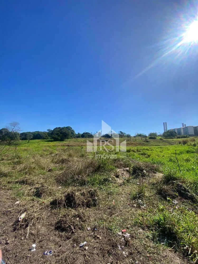 Terreno, 4 hectares - Foto 1