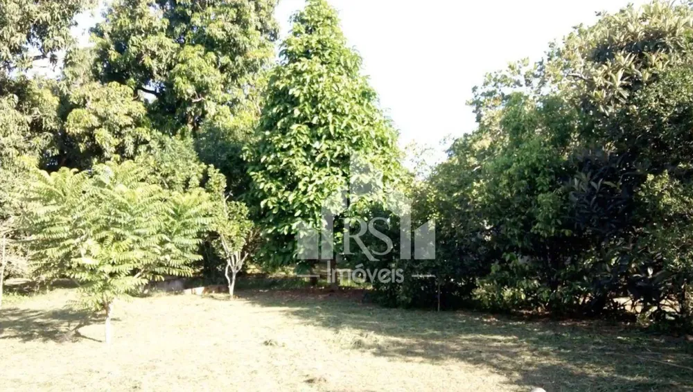 Sítio, 2 quartos, 2000 m² - Foto 8