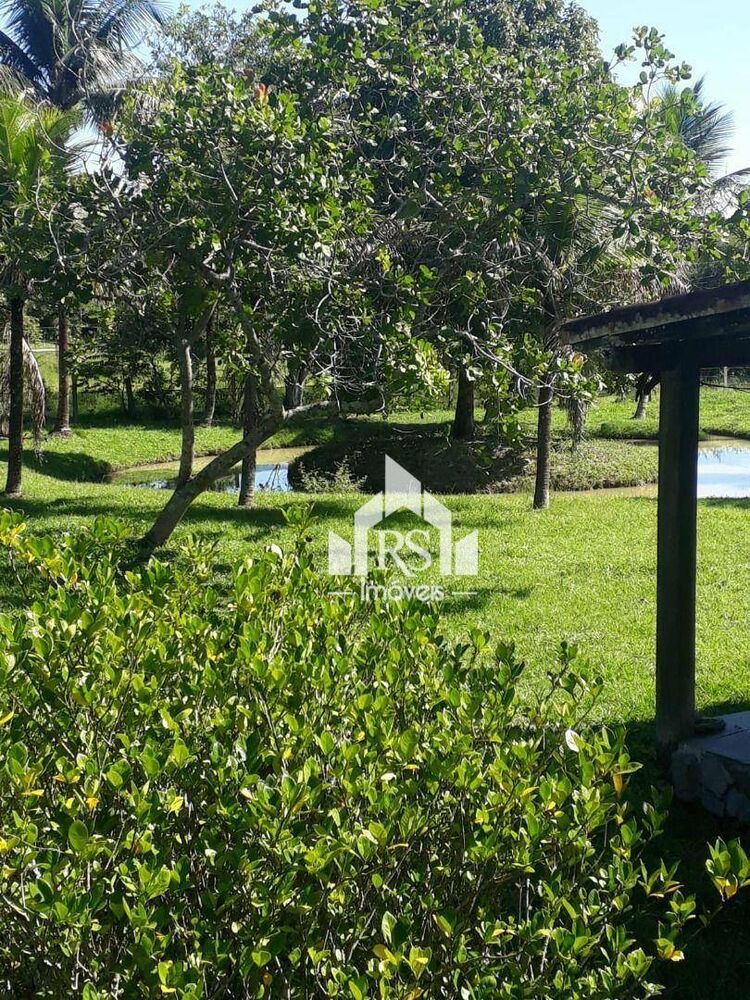 Sítio, 2 quartos, 4100 m² - Foto 12