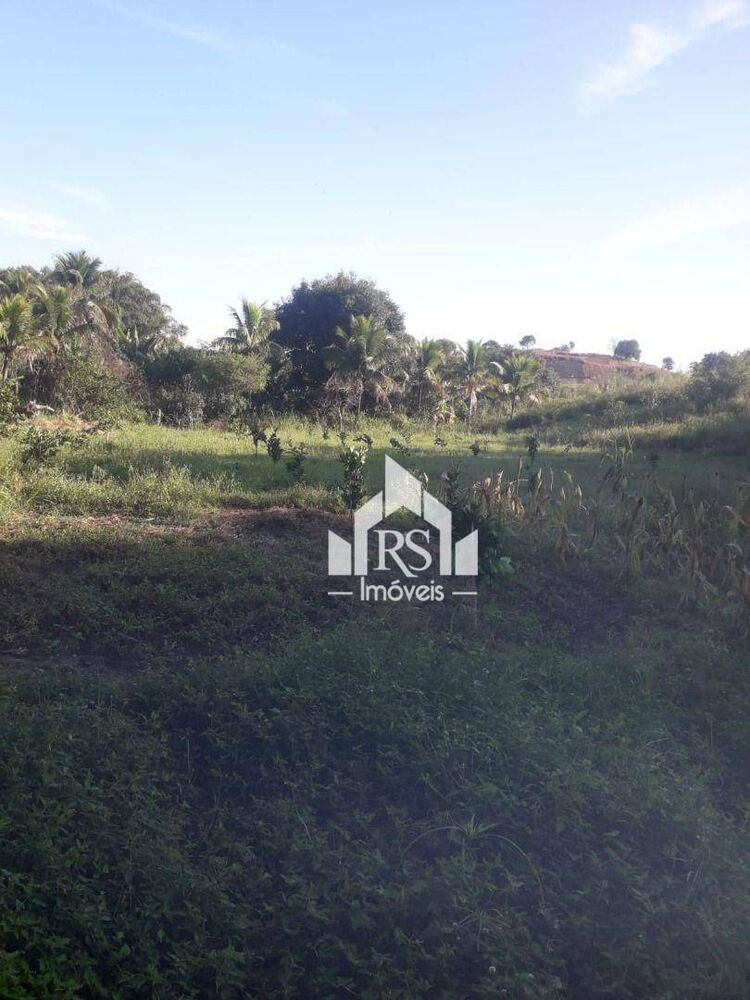 Terreno, 5361 m² - Foto 2