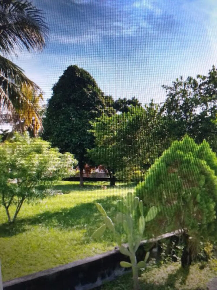 Casa, 2 quartos, 260 m² - Foto 7