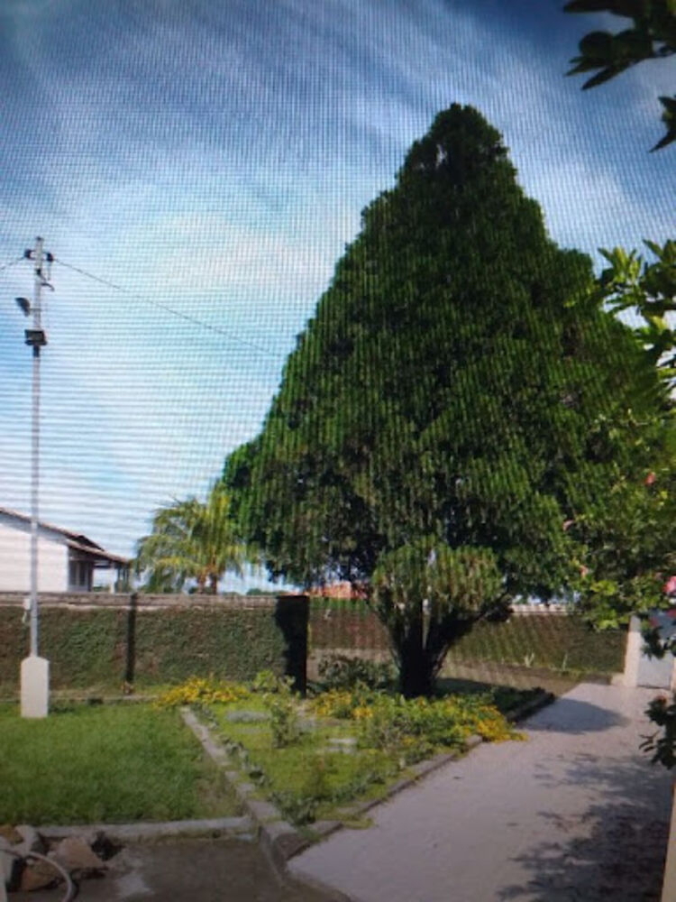 Casa, 2 quartos, 260 m² - Foto 9