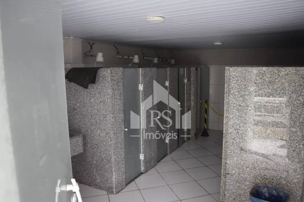 Sítio, 5000 m² - Foto 15