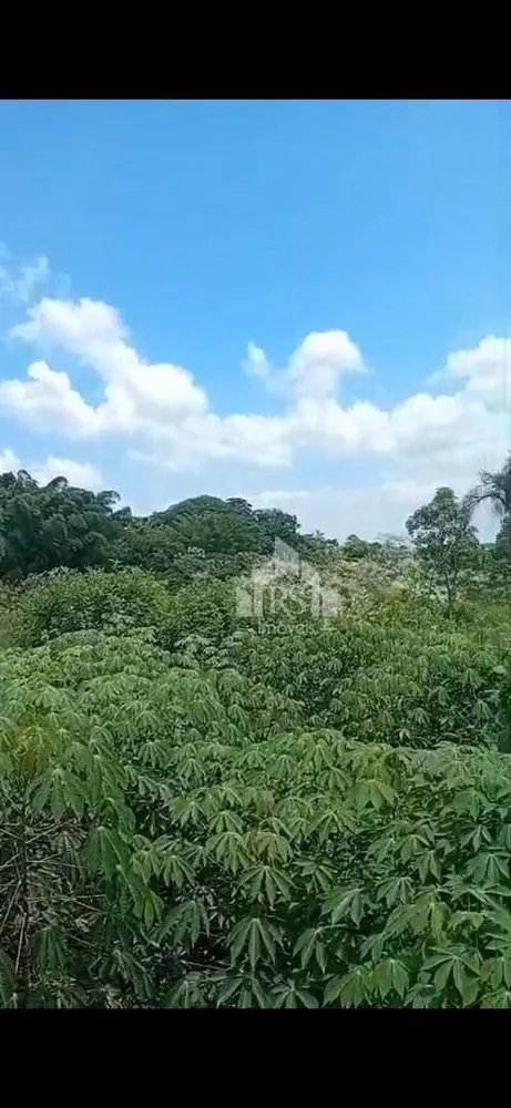 Chácara, 2 quartos, 2 hectares - Foto 21