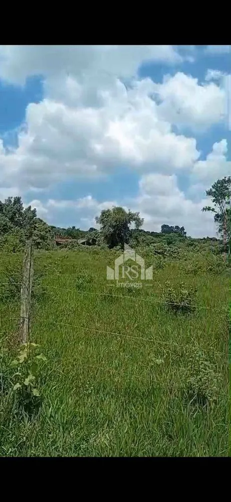 Chácara, 2 quartos, 2 hectares - Foto 20