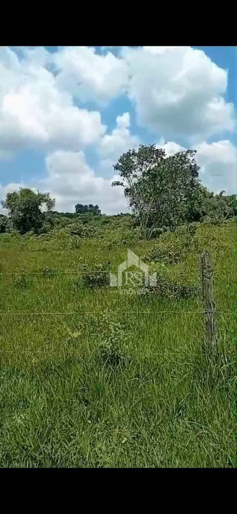 Chácara, 2 quartos, 2 hectares - Foto 18