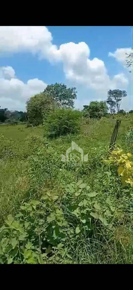 Chácara, 2 quartos, 2 hectares - Foto 17