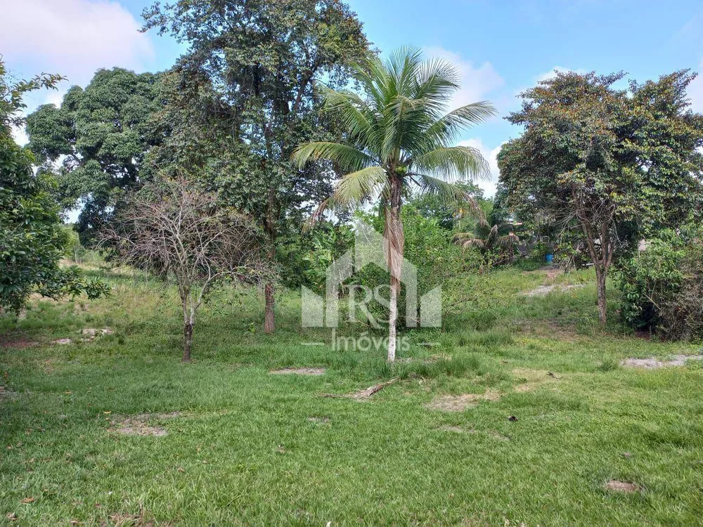 Chácara, 2 quartos, 2 hectares - Foto 11