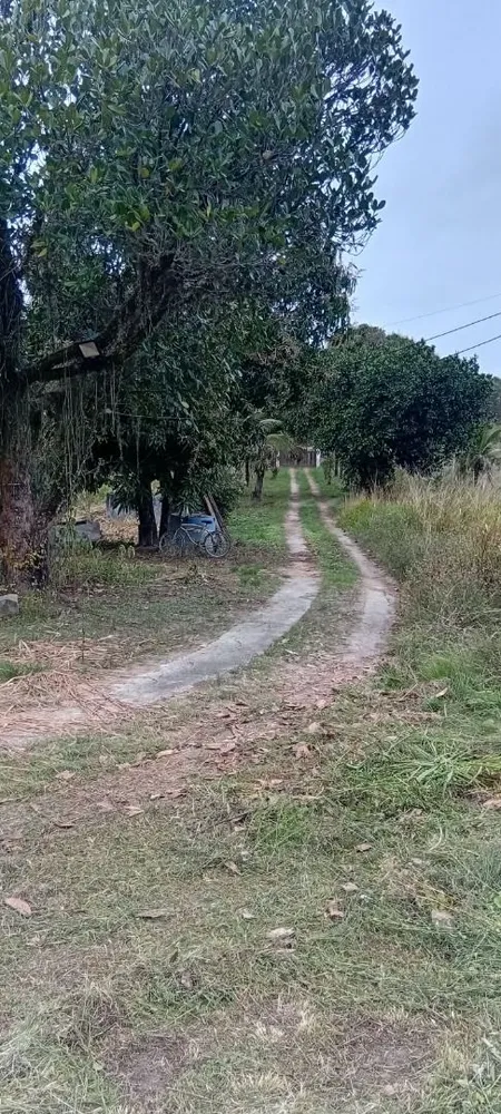 Chácara, 7 quartos, 2 hectares - Foto 9